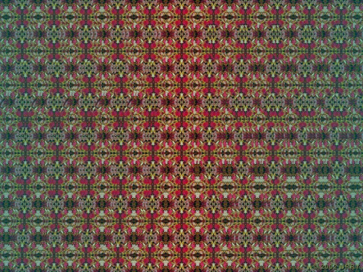 8731 (a): :1024x768